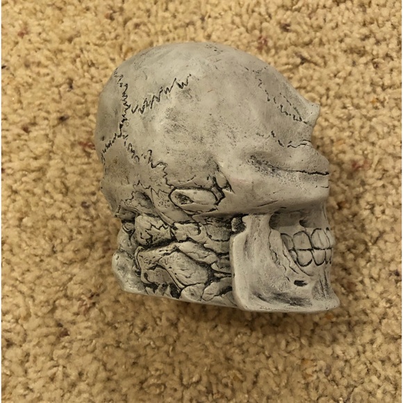 Human Skull Halloween decoration . Scary Good lifelike display - Picture 5 of 6